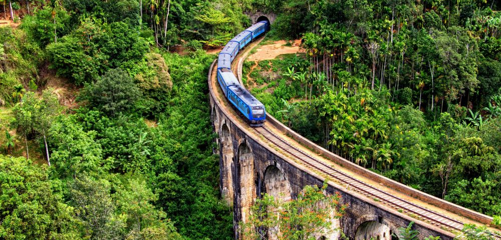 A blue train crosses a tall, arched stone bridge surrounded by lush green forest. The scene is vibrant and peaceful with a sense of adventure.