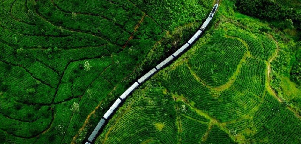 Aerial view of a train winding through lush, green terraced fields. The vibrant patterns of the fields create a sense of calm and natural beauty.