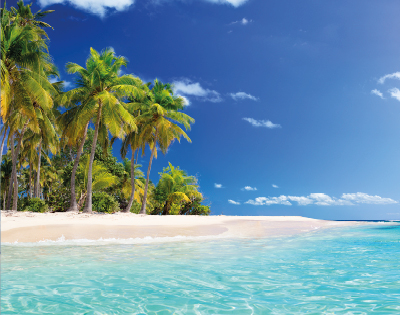 Tropical beach scene with clear turquoise water, white sand, and lush green palm trees under a vibrant blue sky. Serene and inviting atmosphere.