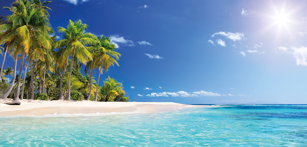 Tropical beach scene with clear turquoise water, white sand, and lush green palm trees under a vibrant blue sky. Serene and inviting atmosphere.