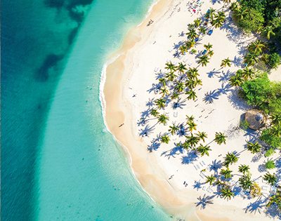 Aerial view of a tropical beach with turquoise water, white sand, and scattered palm trees casting long shadows. Relaxing and serene atmosphere.