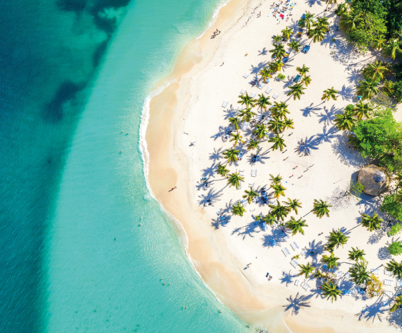 Aerial view of a tropical beach with turquoise water, white sand, and scattered palm trees casting long shadows. Relaxing and serene atmosphere.
