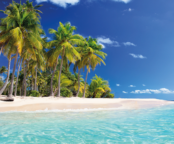 Tropical beach scene with clear turquoise water, white sand, and lush green palm trees under a vibrant blue sky. Serene and inviting atmosphere.