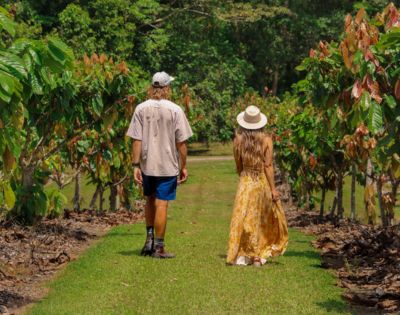 A man and woman stroll down a lush vineyard path, surrounded by green vines. The scene is peaceful and summery, exuding a sense of tranquility and leisure.