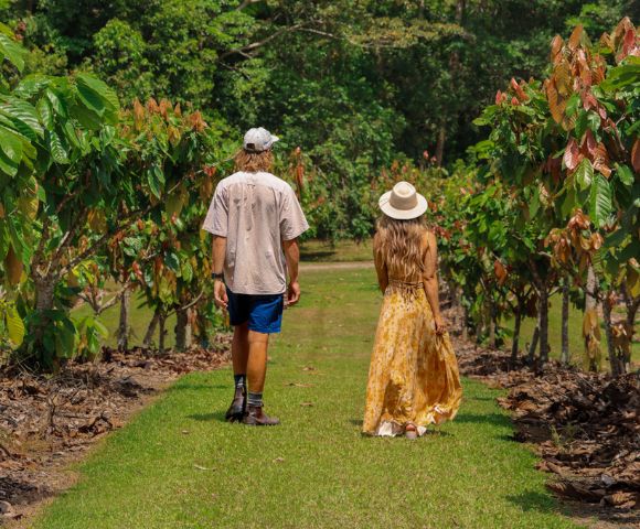 A man and woman stroll down a lush vineyard path, surrounded by green vines. The scene is peaceful and summery, exuding a sense of tranquility and leisure.