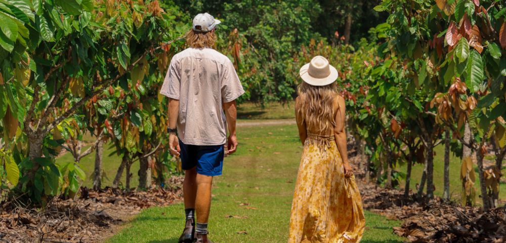 A man and woman stroll down a lush vineyard path, surrounded by green vines. The scene is peaceful and summery, exuding a sense of tranquility and leisure.