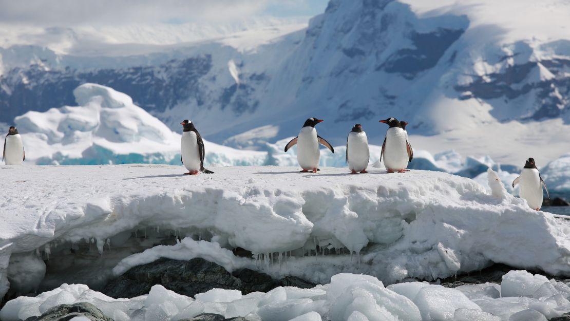 Print Stylesheet Image