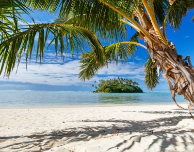 Tropical beach scene with white sand, vibrant palm trees, and a small lush island in the calm blue sea under a bright blue sky. Serene and idyllic.