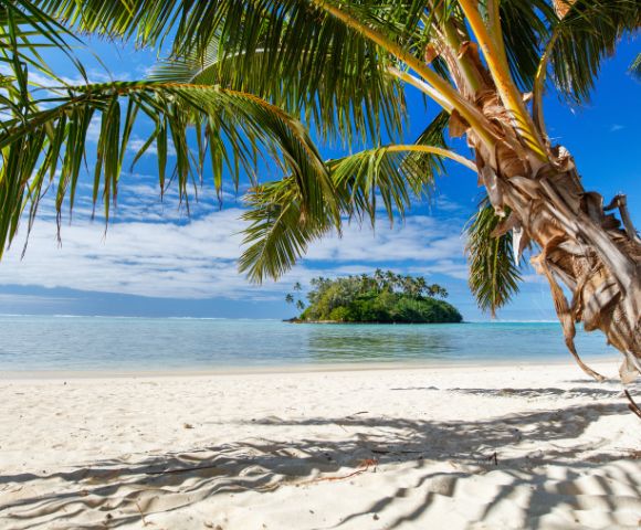 Tropical beach scene with white sand, vibrant palm trees, and a small lush island in the calm blue sea under a bright blue sky. Serene and idyllic.