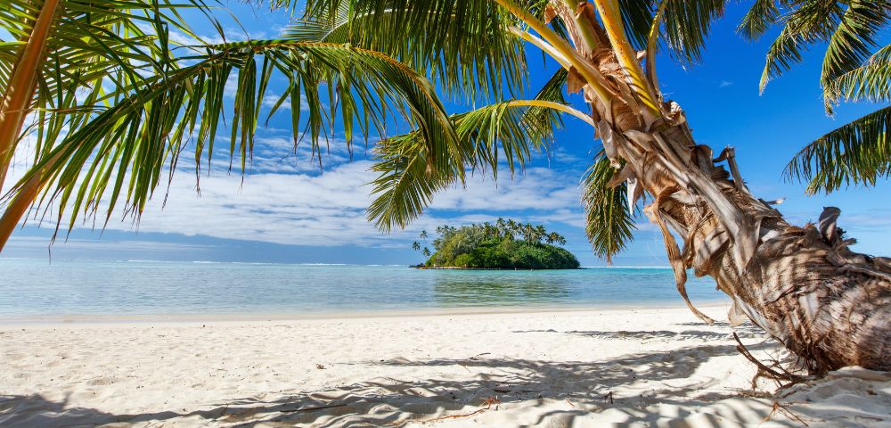 Tropical beach scene with white sand, vibrant palm trees, and a small lush island in the calm blue sea under a bright blue sky. Serene and idyllic.