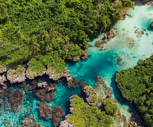 Aerial view of a lush, green coastline merging with vibrant turquoise waters. Rugged coral formations are visible under the clear water, creating a serene, natural landscape.