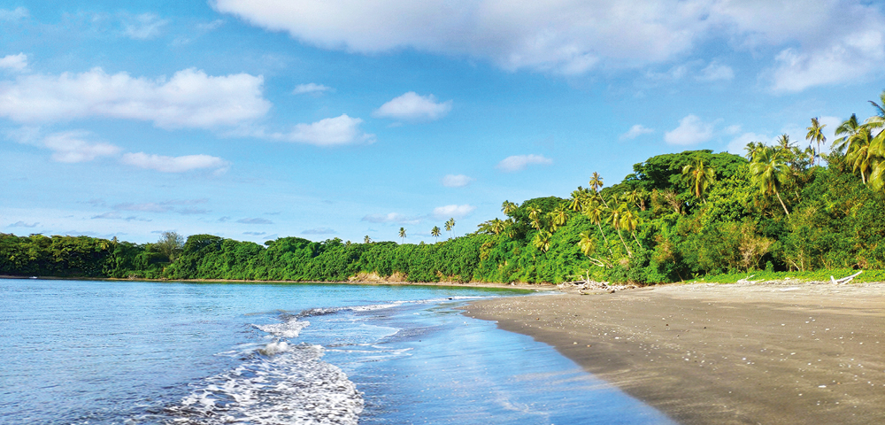 Tropical beach scene with gentle waves lapping on sandy shore, lush green trees in the background, and a bright blue sky with fluffy clouds.