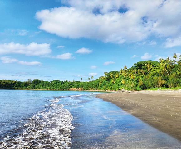 Tropical beach scene with gentle waves lapping on sandy shore, lush green trees in the background, and a bright blue sky with fluffy clouds.