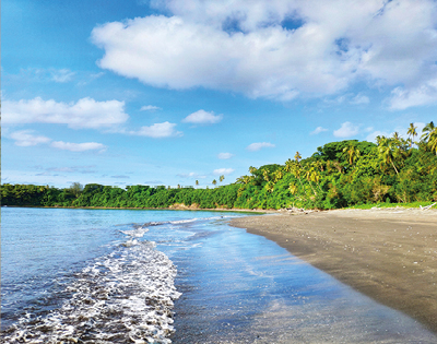 Tropical beach scene with gentle waves lapping on sandy shore, lush green trees in the background, and a bright blue sky with fluffy clouds.