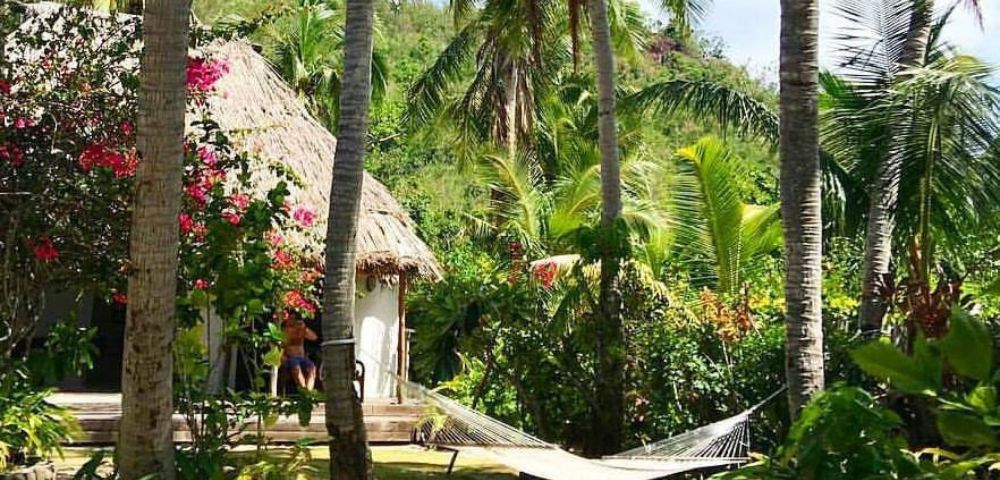 A tranquil tropical garden with a hammock strung between palm trees. A thatched-roof hut is partially visible amid lush greenery and vibrant flowers.