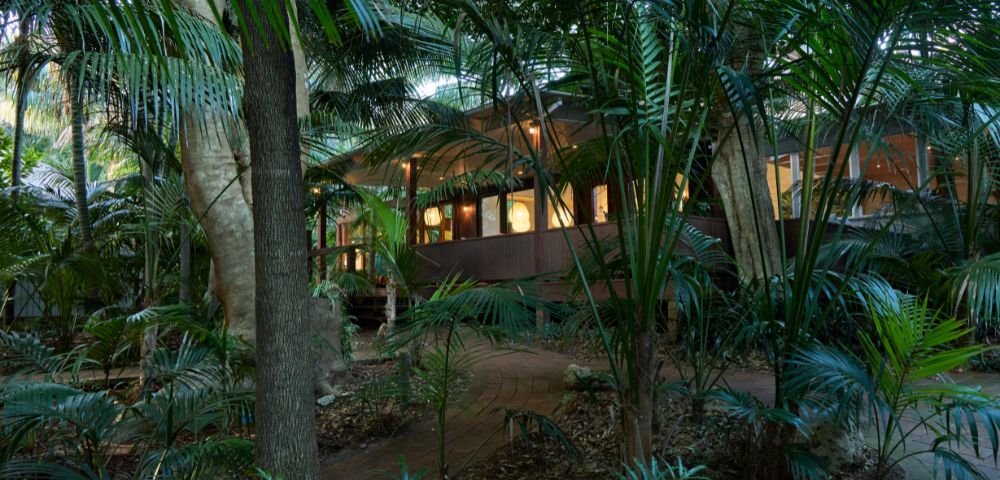 A modern house with glowing windows is nestled among dense tropical foliage, creating a serene and mysterious jungle ambiance at dusk.