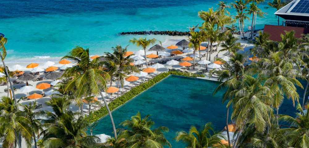 Tropical beach scene with turquoise ocean, lined with orange and white umbrellas, bordered by palm trees and a rectangular pool, conveying relaxation.