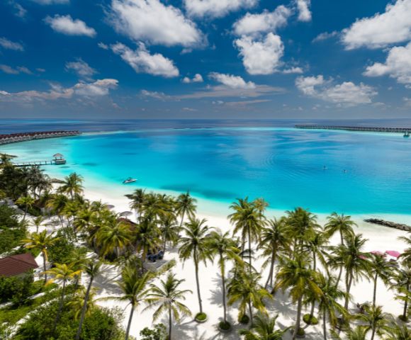 Tropical beach scene with turquoise ocean, white sand, and lush palm trees under a vibrant blue sky with scattered clouds. Peaceful and inviting atmosphere.