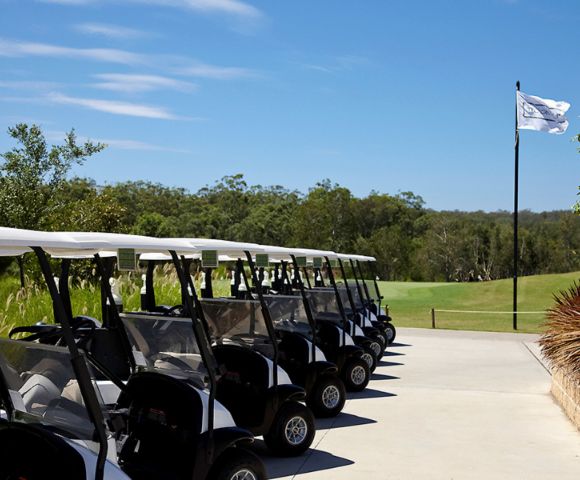 A row of golf carts parked on a sunlit path by a lush green golf course, with a flag waving on a pole and clear blue sky above.