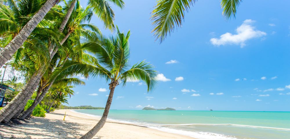 Tropical beach scene with lush palm trees arching over white sand, gentle turquoise waves, and a clear blue sky, creating a serene and idyllic atmosphere.