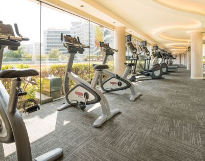 Bright gym with large windows features a row of stationary bikes and ellipticals. Sunlight streams in, highlighting modern fitness equipment.