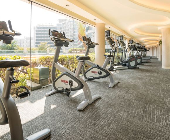 Bright gym with large windows features a row of stationary bikes and ellipticals. Sunlight streams in, highlighting modern fitness equipment.