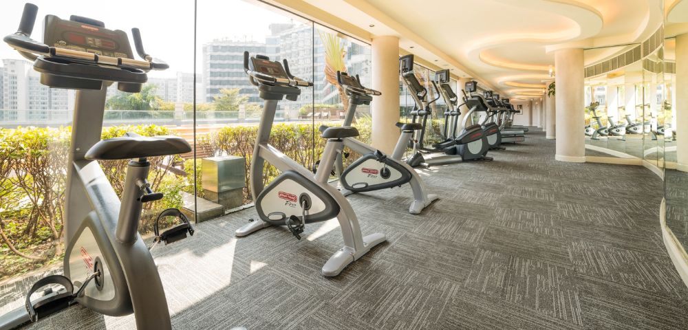 Bright gym with large windows features a row of stationary bikes and ellipticals. Sunlight streams in, highlighting modern fitness equipment.