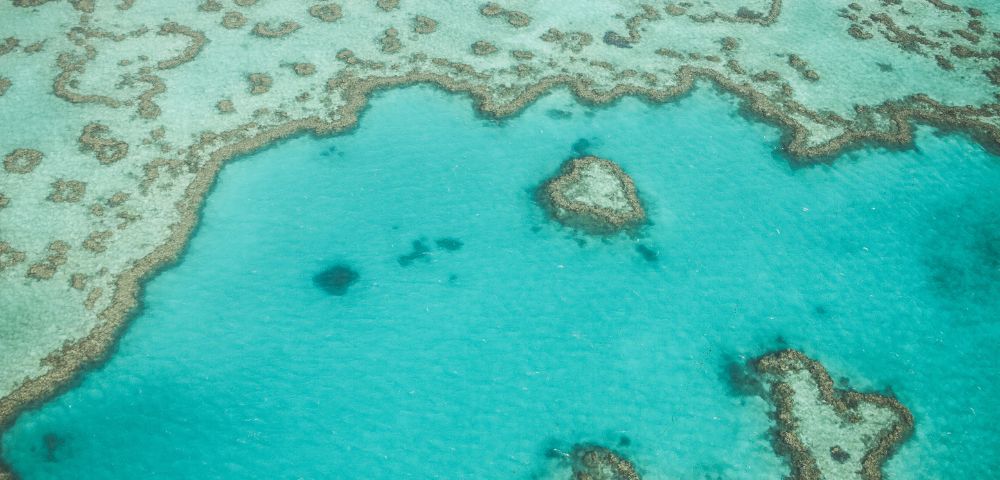Aerial view of a turquoise ocean with coral reefs forming intricate patterns. The boundary between water and reef creates a textured, natural design.
