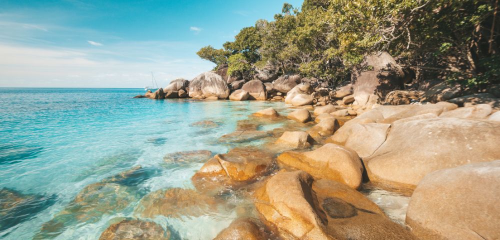 A serene beach scene with turquoise water gently lapping against smooth, tan rocks. Lush green trees border the rocky shoreline under a clear blue sky.