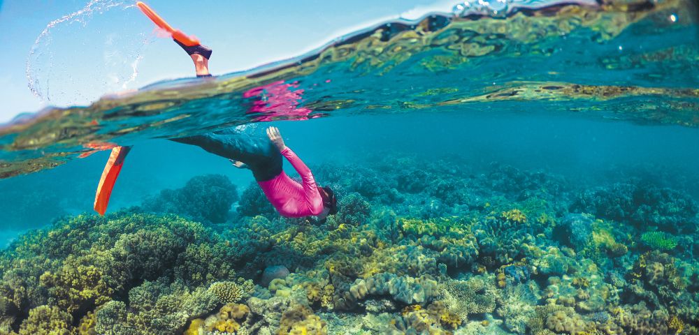 Person snorkeling over vibrant coral reef, wearing pink shirt and orange fins. Clear blue water creates a serene, adventurous atmosphere.