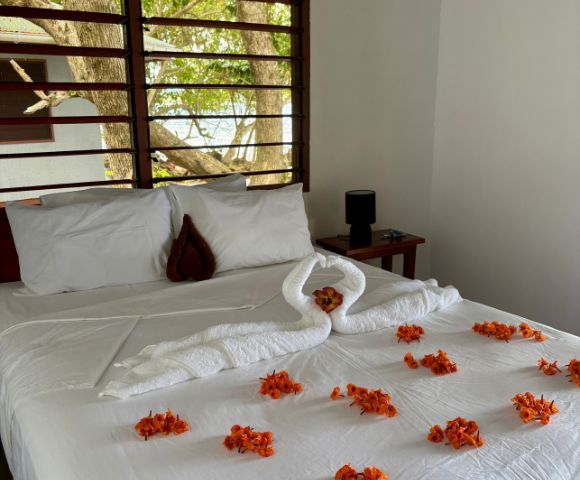 A cozy bedroom with a white bed adorned with orange petals and towel swans. Large window view of tree braA cozy bedroom with a white bed adorned with orange petals and towel swans. Large window view of tree branches and sunlight, creating a serene atmosphere.nches and sunlight, creating a serene atmosphere.