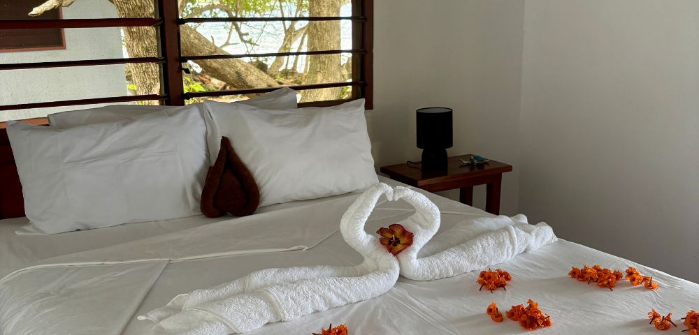 A cozy bedroom with a white bed adorned with orange petals and towel swans. Large window view of tree branches and sunlight, creating a serene atmosphere.