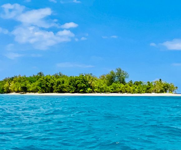 A small lush island with dense green trees is surrounded by bright turquoise ocean water under a vibrant blue sky with scattered clouds.