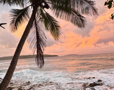 Sunset over a tropical beach, with a palm tree silhouetted against a vibrant orange-pink sky. Waves gently crash on the rocky shore, creating a serene atmosphere.
