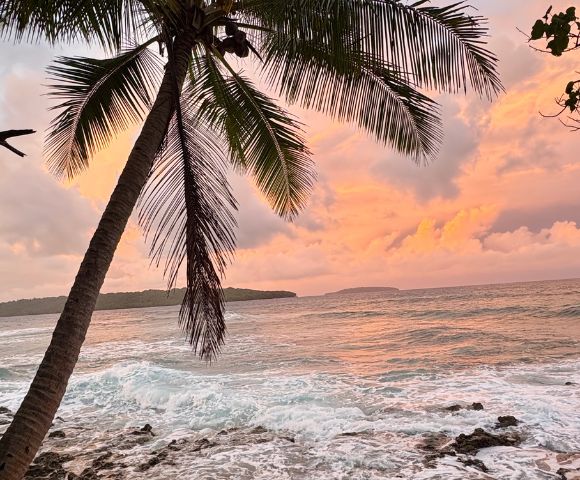 Sunset over a tropical beach, with a palm tree silhouetted against a vibrant orange-pink sky. Waves gently crash on the rocky shore, creating a serene atmosphere.