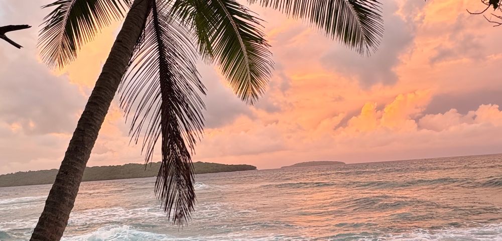 Sunset over a tropical beach, with a palm tree silhouetted against a vibrant orange-pink sky. Waves gently crash on the rocky shore, creating a serene atmosphere.