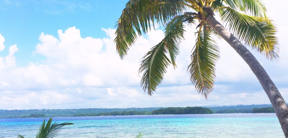 Tropical beach scene with a leaning palm tree on golden sand, overlooking clear turquoise water and a distant forested shore under a bright blue sky.