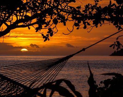 Sunset scene with orange-hued sky and ocean horizon. Silhouetted hammock and branches create a tranquil, soothing atmosphere, suggesting relaxation.