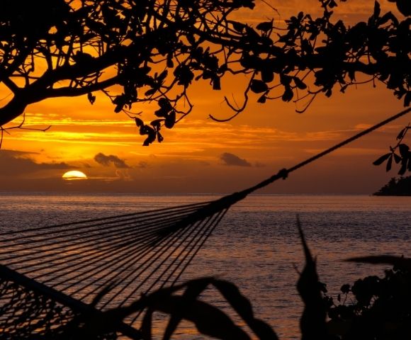 Sunset scene with orange-hued sky and ocean horizon. Silhouetted hammock and branches create a tranquil, soothing atmosphere, suggesting relaxation.