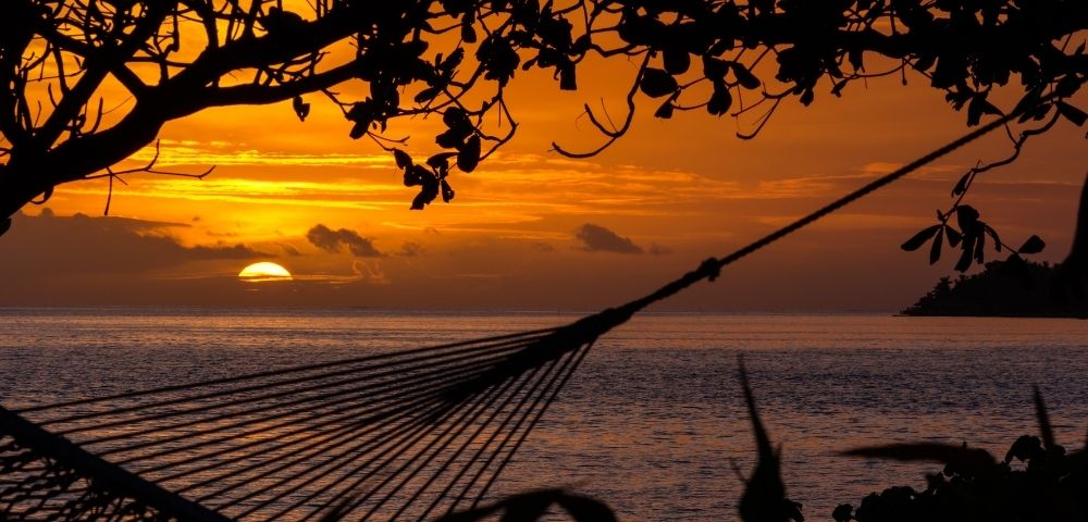 Sunset scene with orange-hued sky and ocean horizon. Silhouetted hammock and branches create a tranquil, soothing atmosphere, suggesting relaxation.