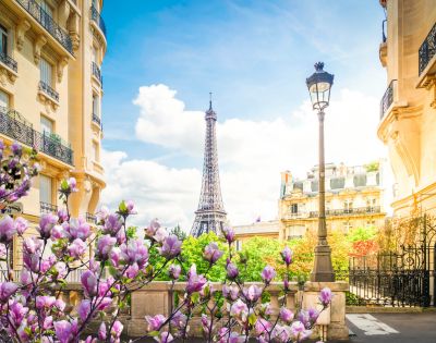 Blooming purple flowers frame a view of the Eiffel Tower between elegant Parisian buildings under a bright blue sky, creating a charming and serene scene.