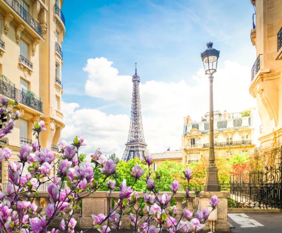 Blooming purple flowers frame a view of the Eiffel Tower between elegant Parisian buildings under a bright blue sky, creating a charming and serene scene.