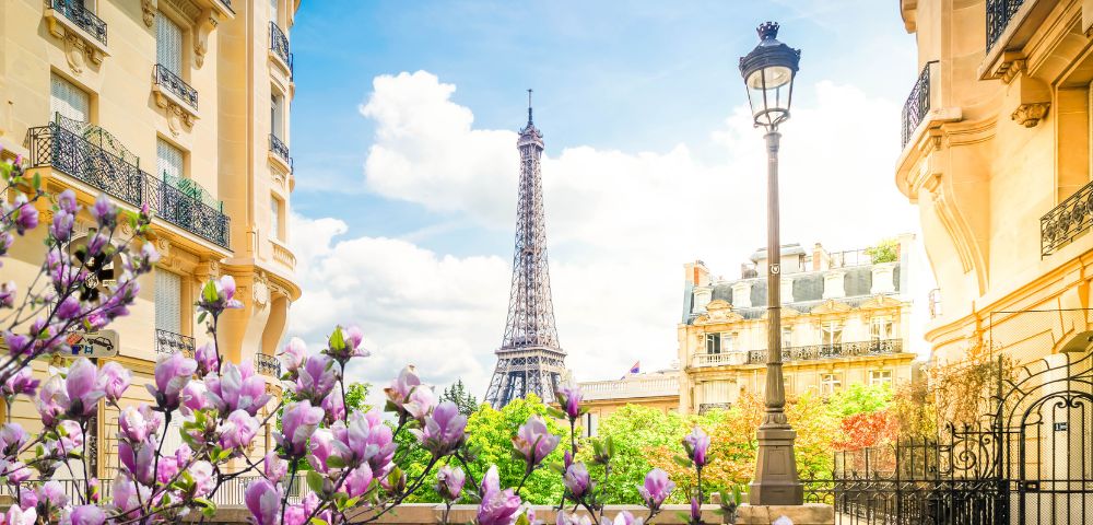 Blooming purple flowers frame a view of the Eiffel Tower between elegant Parisian buildings under a bright blue sky, creating a charming and serene scene.