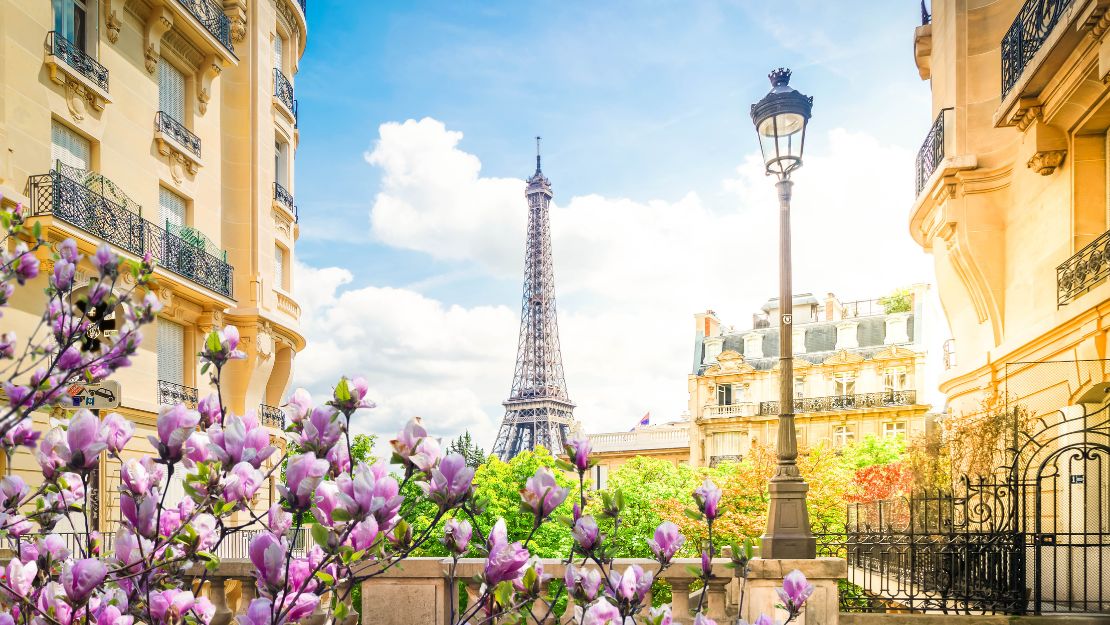 Print Stylesheet Image