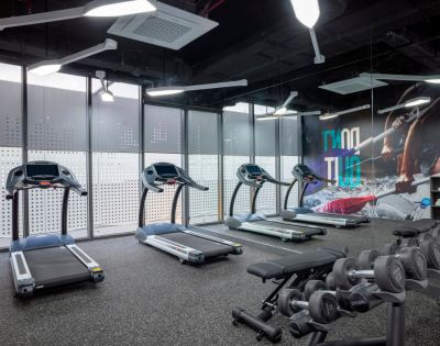 Modern gym with four treadmills facing large windows, bright lighting, and a wall mural. Dumbbells are neatly arranged in the foreground.