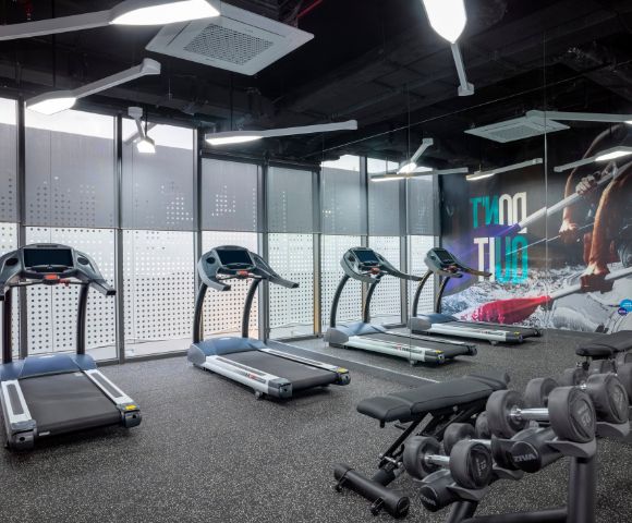 Modern gym with four treadmills facing large windows, bright lighting, and a wall mural. Dumbbells are neatly arranged in the foreground.