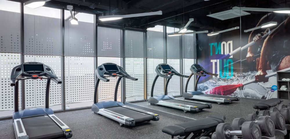 Modern gym with four treadmills facing large windows, bright lighting, and a wall mural. Dumbbells are neatly arranged in the foreground.