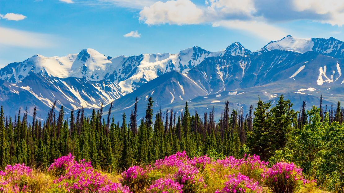 Print Stylesheet Image