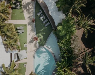 Aerial view of a serene outdoor pool area with curved edges, surrounded by lush green palm trees. Lounge chairs and sunshades add a relaxing vibe.
