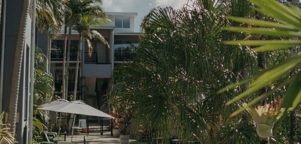 A tropical courtyard with lush palm trees surrounds a tranquil pool. Sun loungers and a parasol offer a relaxing atmosphere under a bright, cloudy sky.